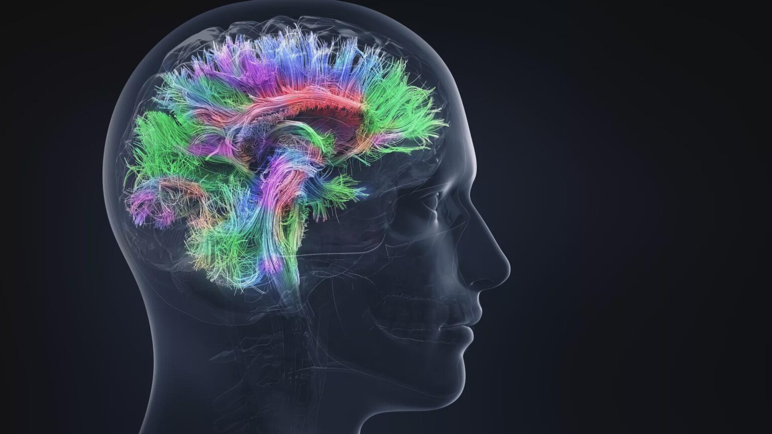 Frontiers | DXM, CYP2D6-inhibiting antidepressants, piracetam, and glutamine: proposing a ketamine-class antidepressant regimen with existing drugs