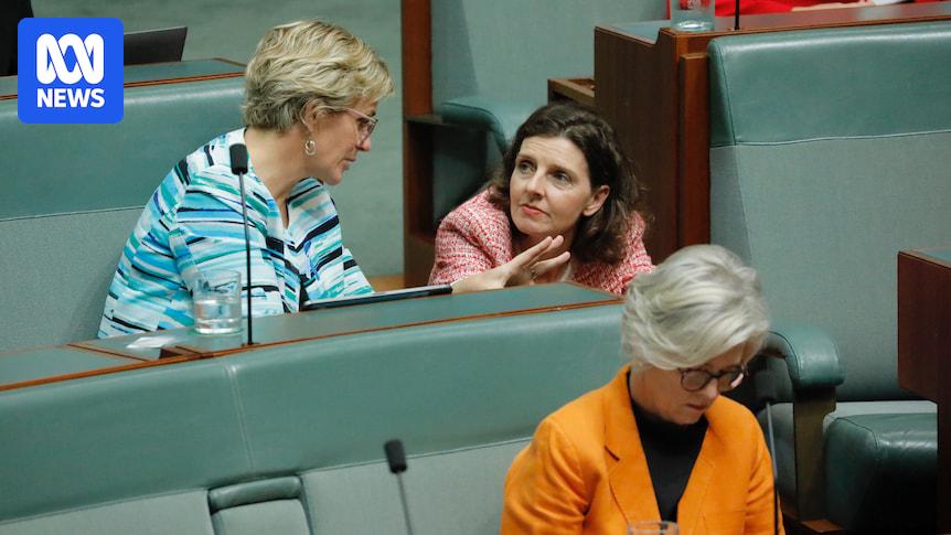 Independents confirm they are in talks to form an alternative party - ABC News