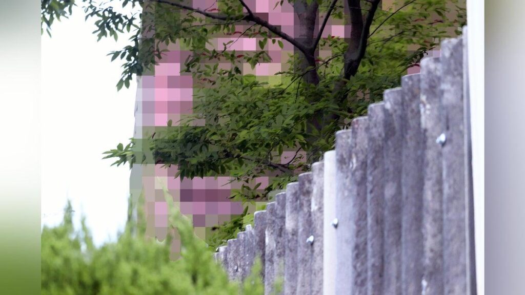 ‘I won’t do anything’: Yamanashi farmer lured girl, 15, to hotel for sexual assault