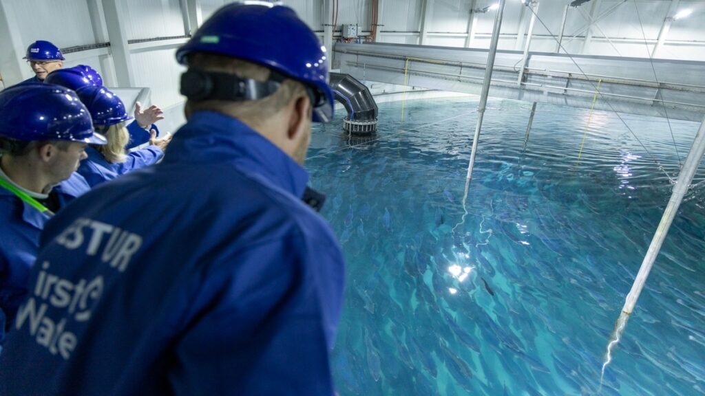 Fish Farmer – News – Iceland fish farmer completes first stage funding round for new project Fish Farmer - News - Iceland fish farmer completes first stage funding round for new project