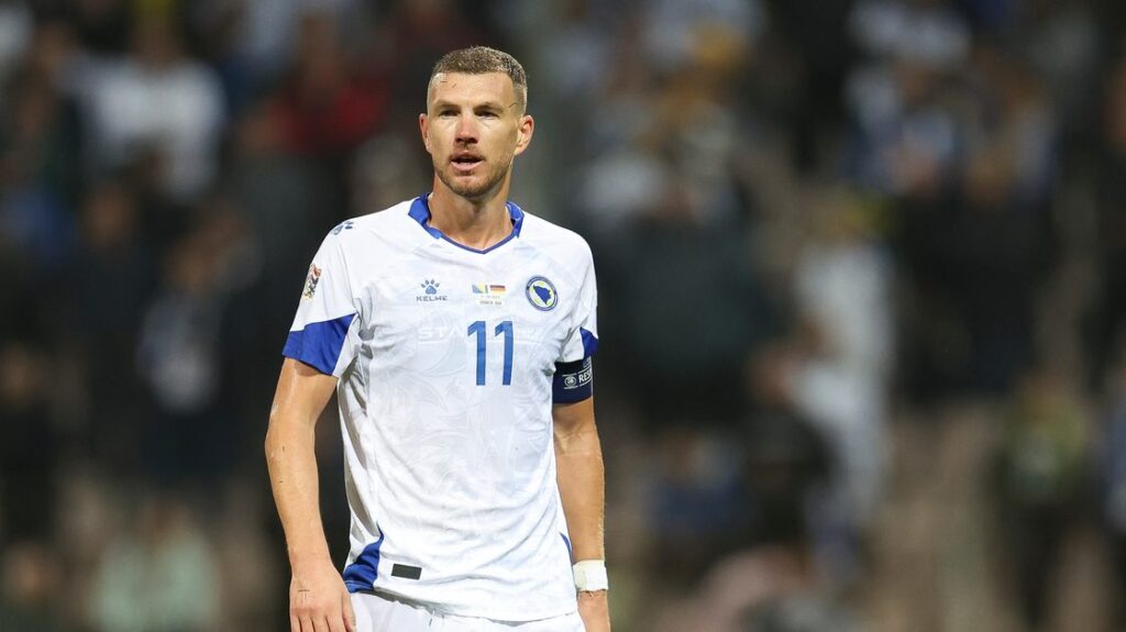 World Cup stars of the Bundesliga: Schalke's Edin Džeko