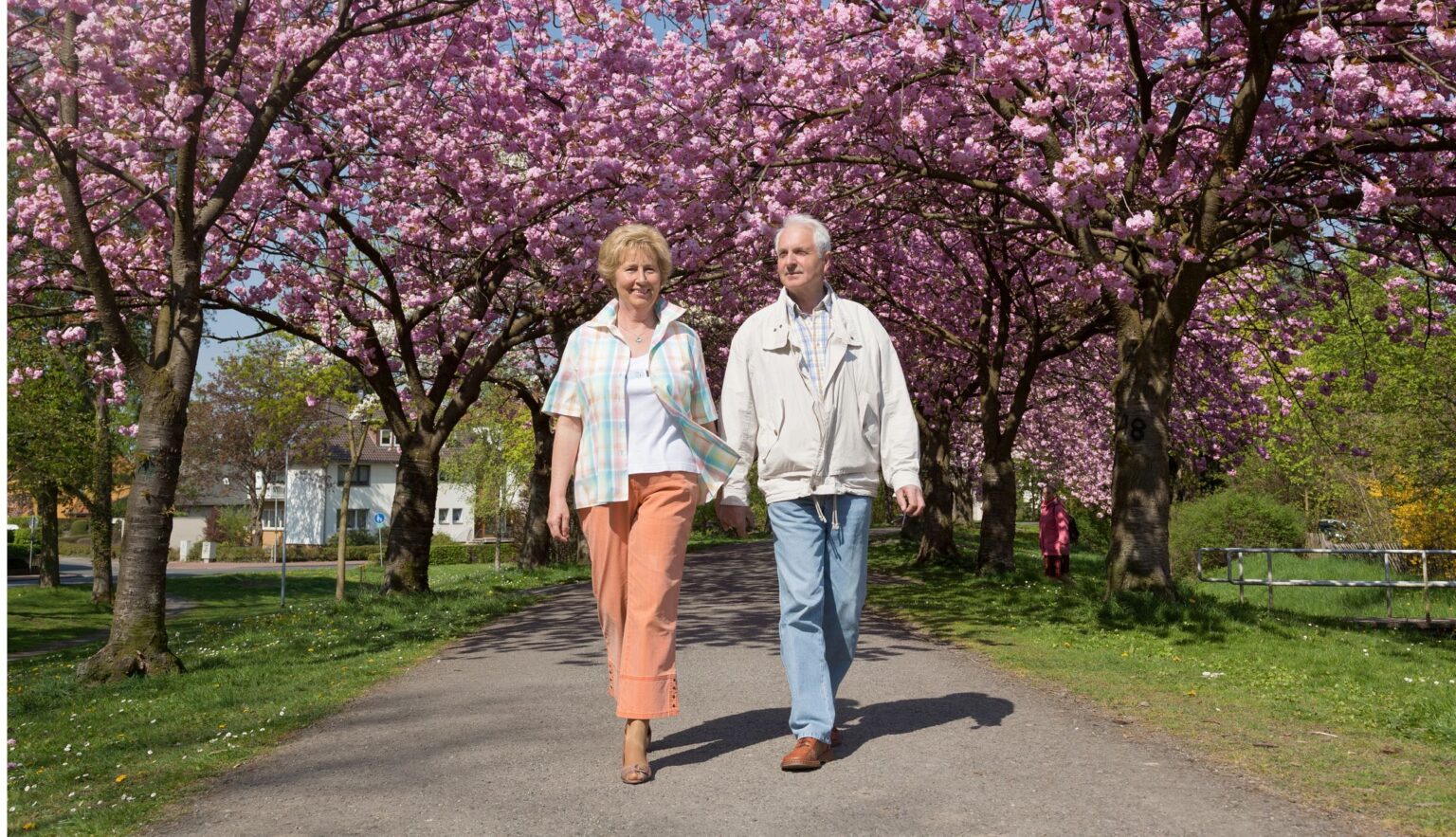 AARP Wisconsin is sponsoring walking programs to help you boost your health and social life.