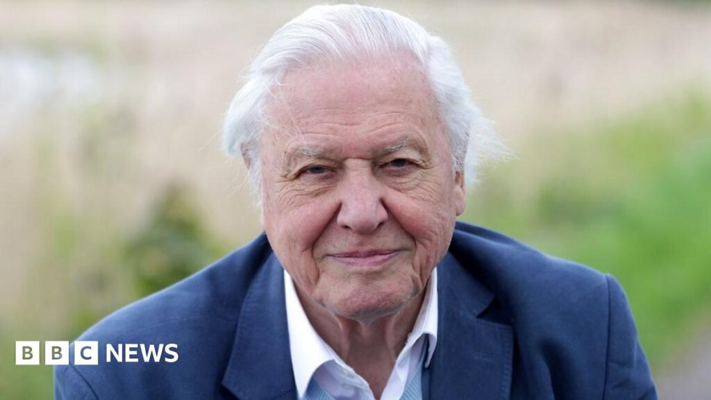 David Attenborough says he is 'overwhelmed' by 100th birthday messages