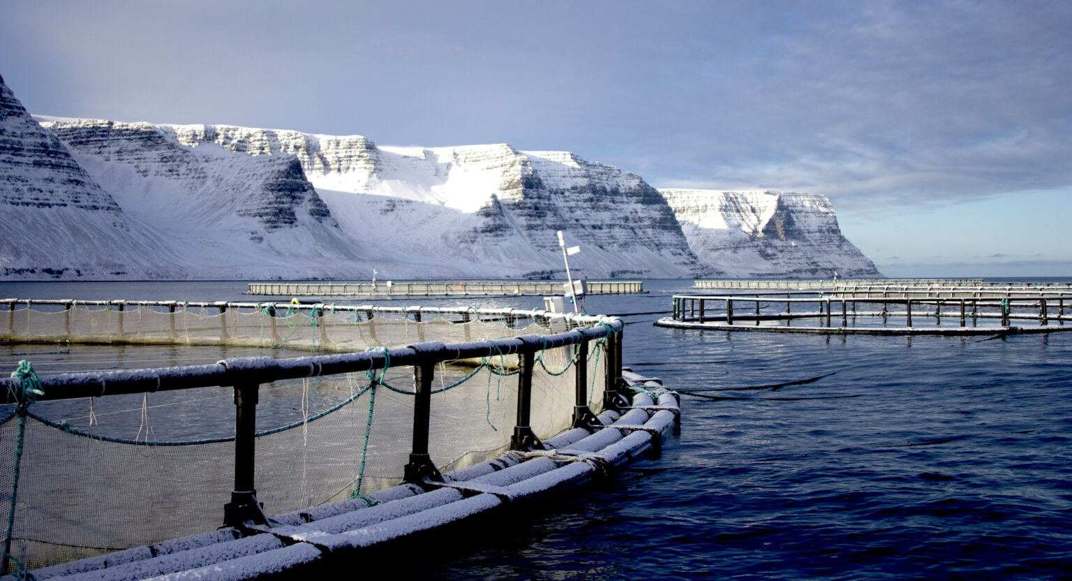 Minister says Iceland aquaculture bill will cut 'special taxation' by 50%, but concerns remain