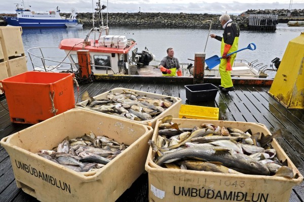 EU Icelandic seafood duty-free