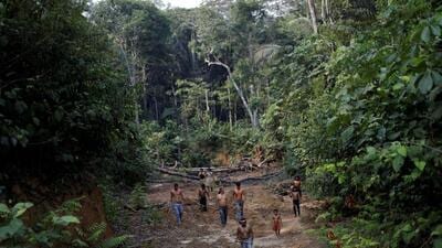 Indigenous people from the Mura tribe show a deforested area inside the Amazon rainforest in Brazil. (Reuters File) Indigenous people from the Mura tribe show a deforested area inside the Amazon rainforest in Brazil. (Reuters File)