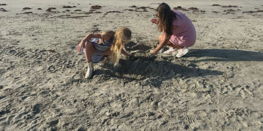Where science meets the sand: Sullivan’s Island students help protect 1st sea turtle nest Where science meets the sand: Sullivan’s Island students help protect 1st sea turtle nest