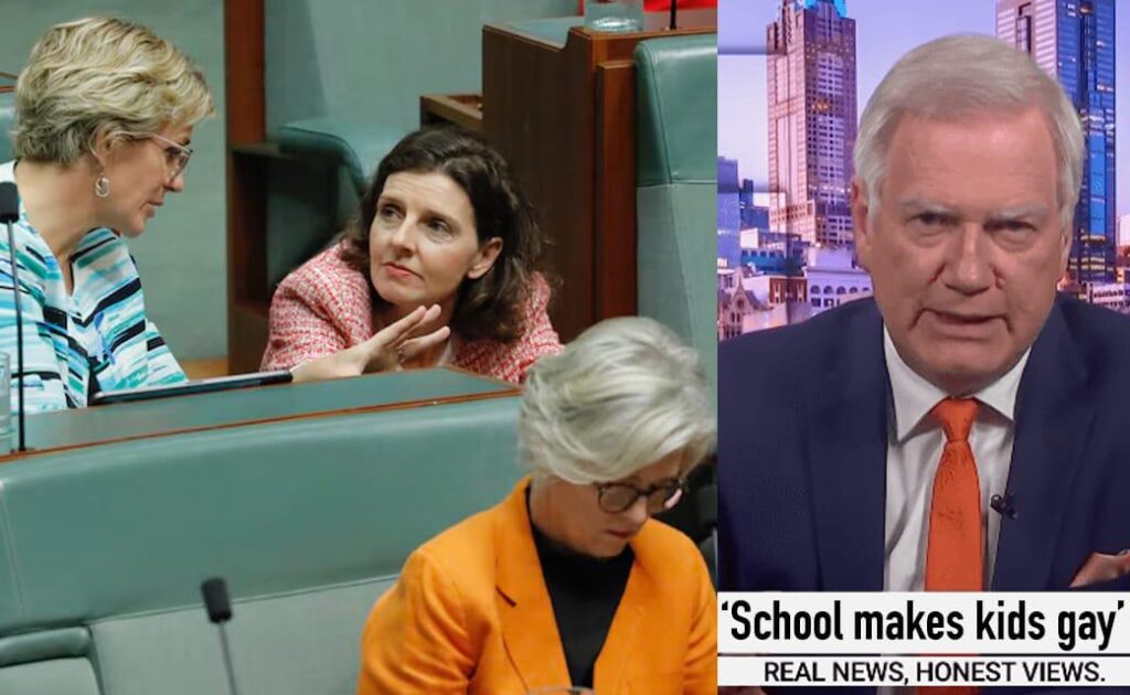 Teals In Talks To Form New Political Party 'Like The Liberals But Not Fucked In The Head From Sky News'