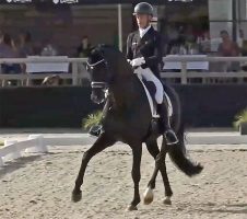 Justin Verboomen on Zonik Plus Leads Belgium to Overwhelming Victory in Lier CDIO4* Nations Cup