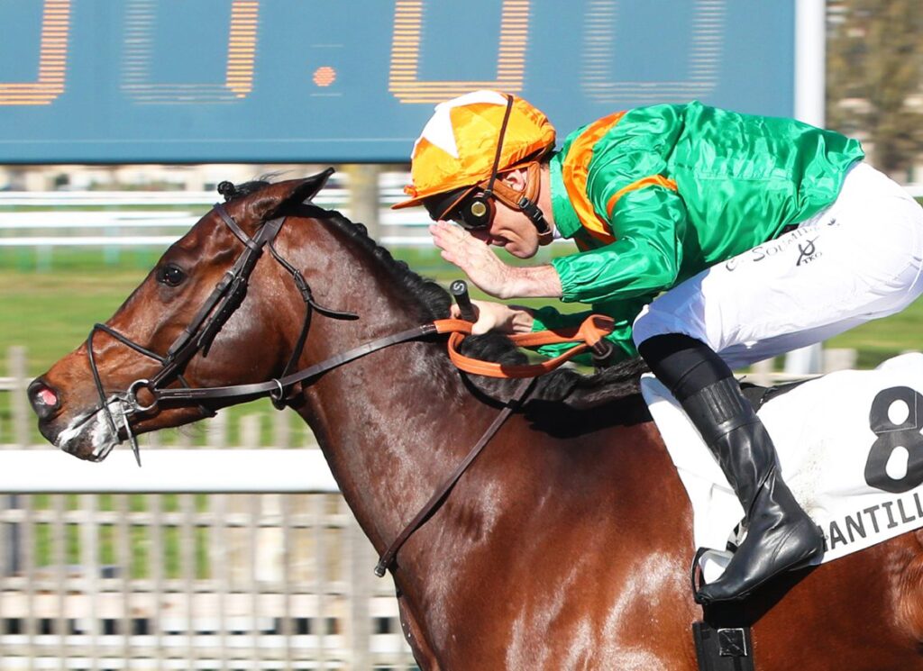 Lord Clover Handed German Guineas Mission