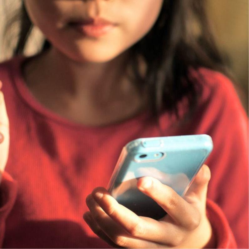 Japanese right-wingers spread false accusations of Kurdish 4-year-olds shoplifting from stores, following "pyramid of hatred" theory- "if hate speech against a minority is left unchecked, the slander increases until people start seeing them as inhuman and commit violence against them"