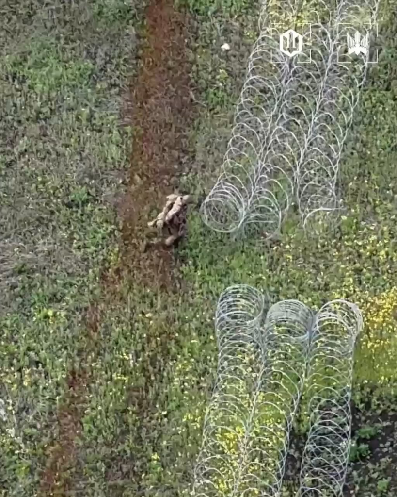 FPV drone hits Russian soldier spotted advancing past concertina wire choke-point. Ukraine's 414th Strike UAS Brigade, published 5/23/2026.