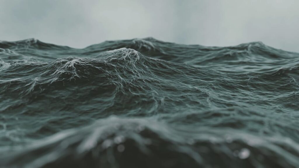 Maritime NZ investigates after crew member lost from Nereus trawler Maritime NZ investigates after crew member lost from Nereus trawler