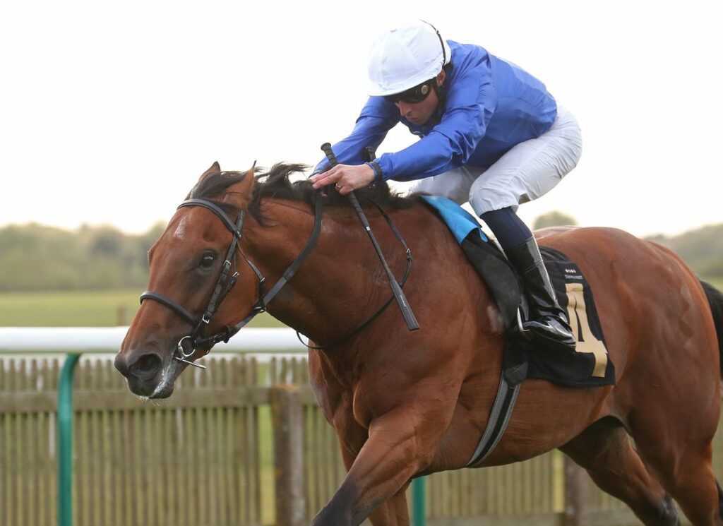 Maho Bay and Maltese Cross Lock Horns at Lingfield