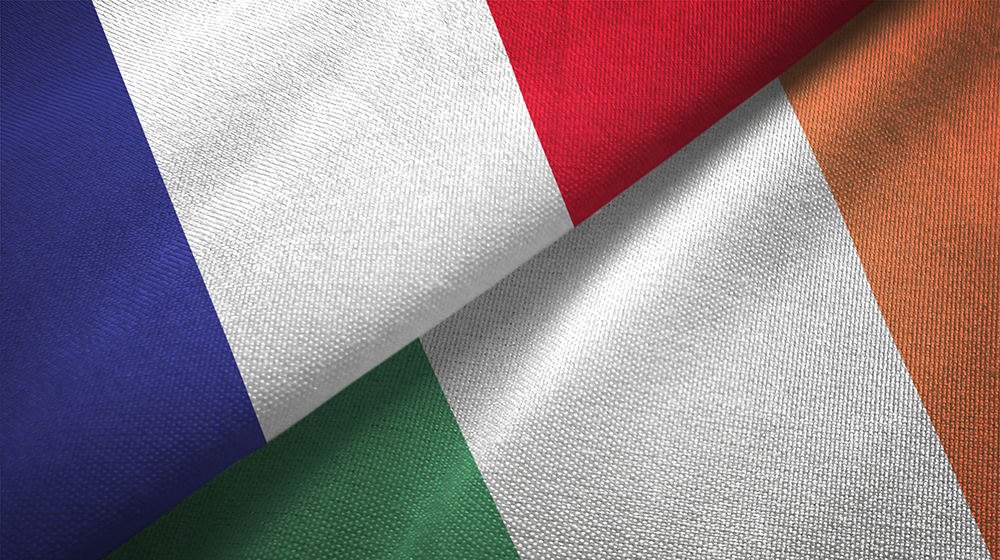 What do the French see in Ireland? What do the French see in Ireland?
