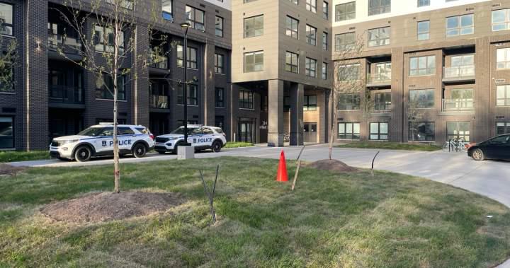 Halifax police say missing newborn found dead, 2 people charged
