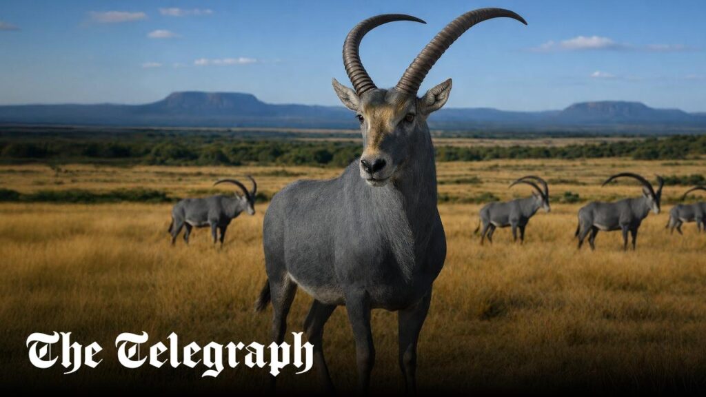 Bluebuck antelope to be brought back from extinction with Jurassic Park technology