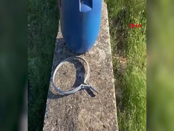 NSFW | 21 fetuses were found in plastic boxes inside a bin in a cemetery in Şanlıurfa.