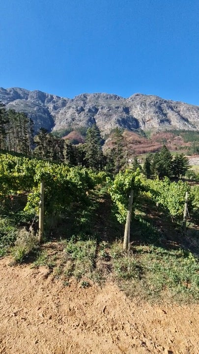 Franschhoek, South Africa
