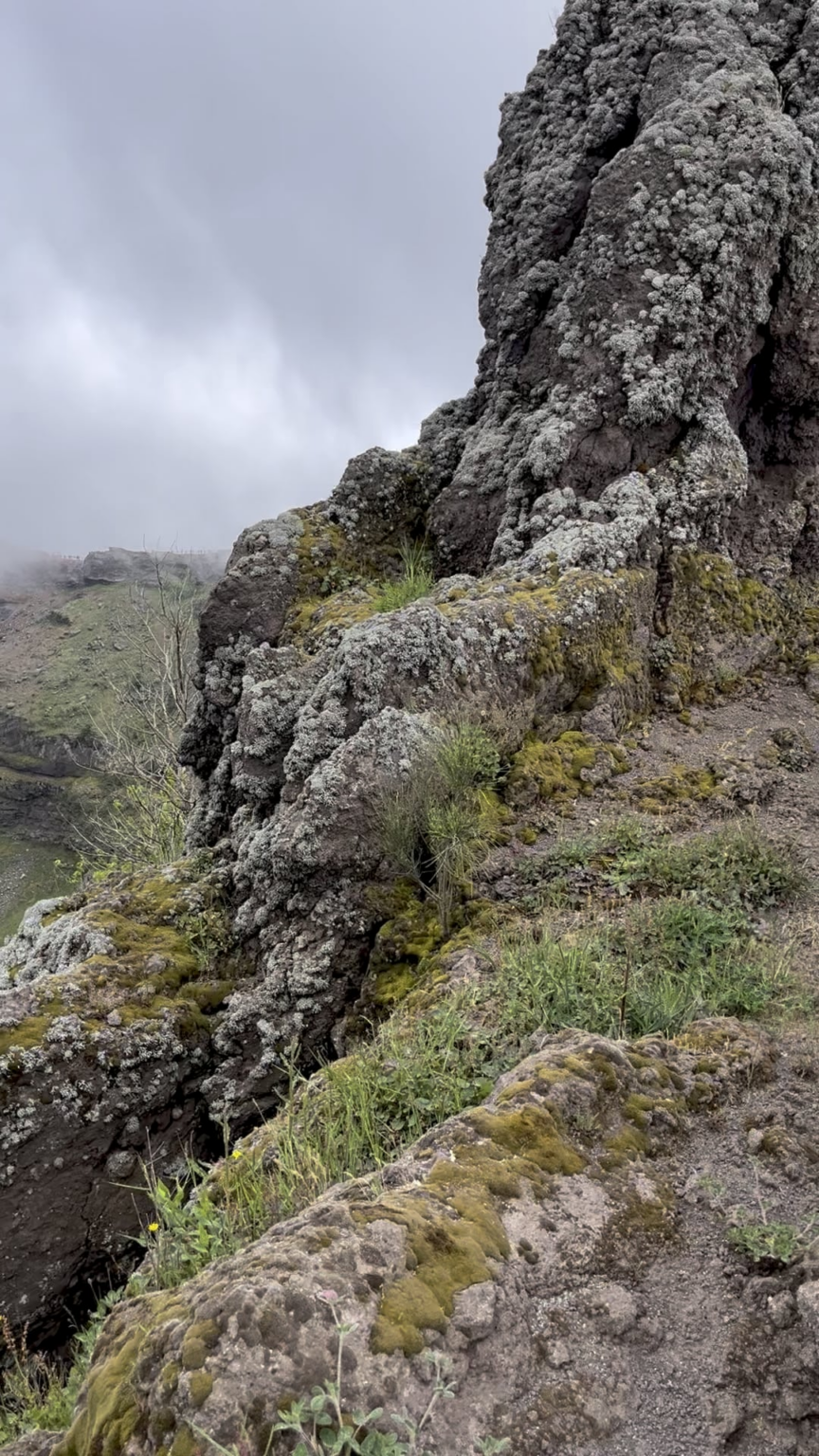 Crater of Mt Vesuvius