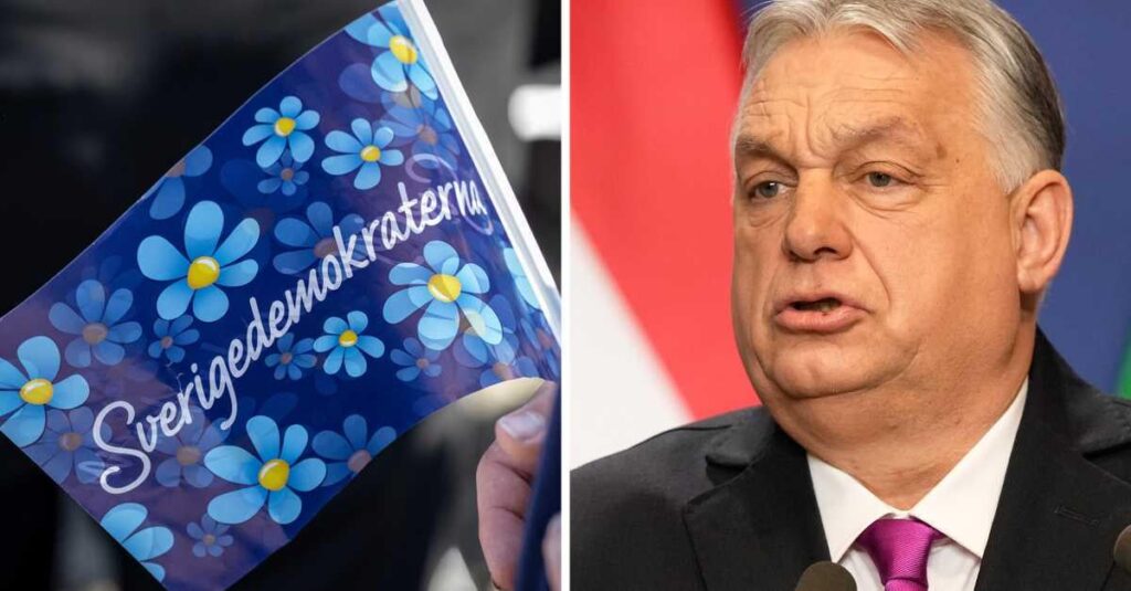SD employee Riks-writer paid by Orbán