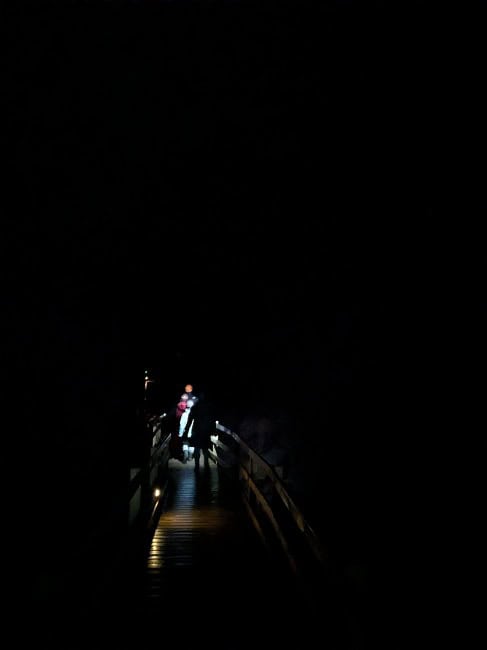 At one point of the tour, we turned off all the lights and had complete darkness
