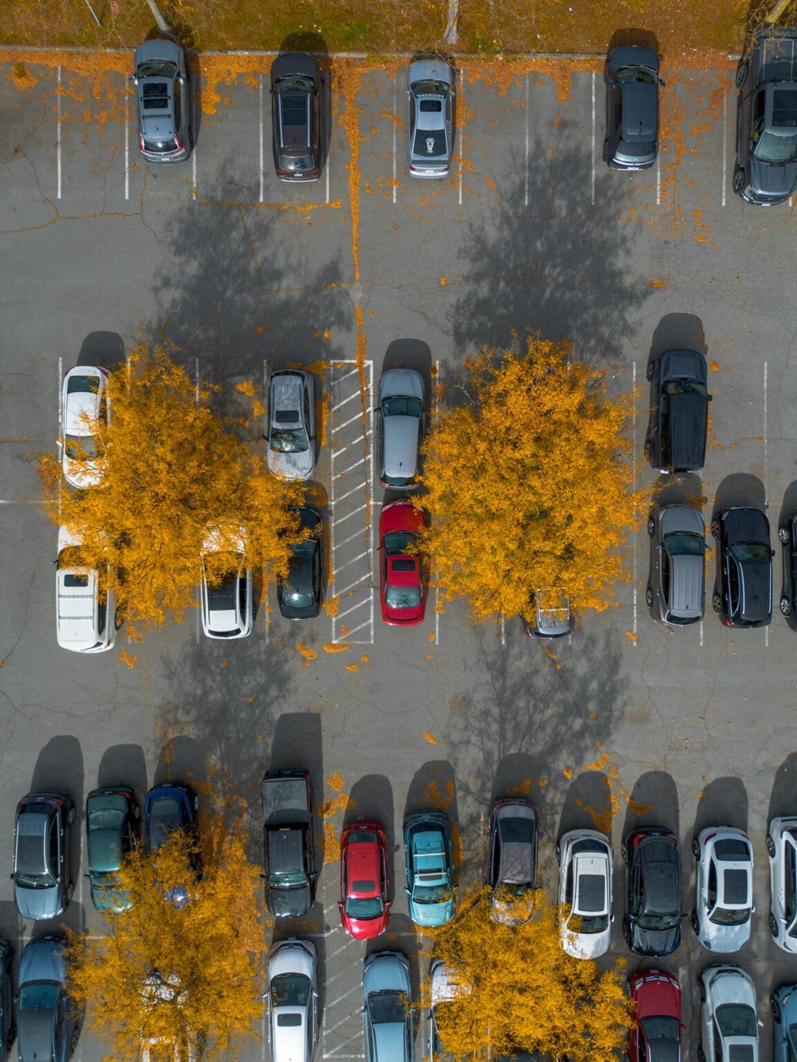 Ever tried parking at a hospital in Portugal? Ever tried parking at a hospital in Portugal?
