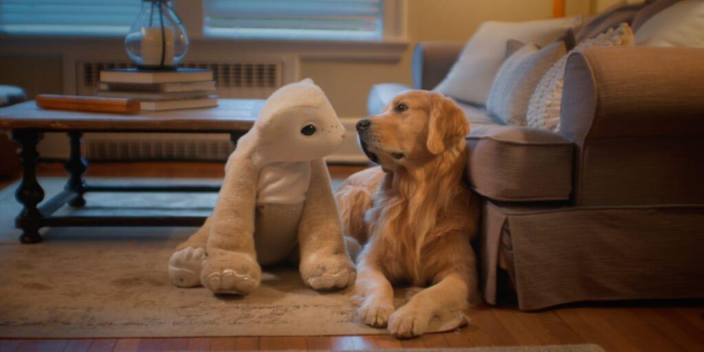 Roomba inventor Colin Angle made robots useful. Now he wants to make them lovable. Roomba inventor Colin Angle made robots useful. Now he wants to make them lovable.