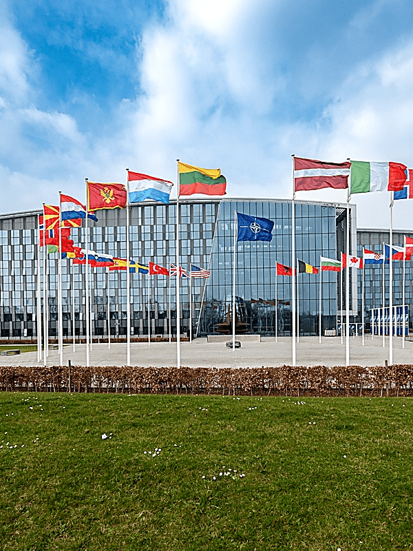 Elephants in the Room: How the Rise of the European Right Poses NATO’s Next Cohesion Challenge
