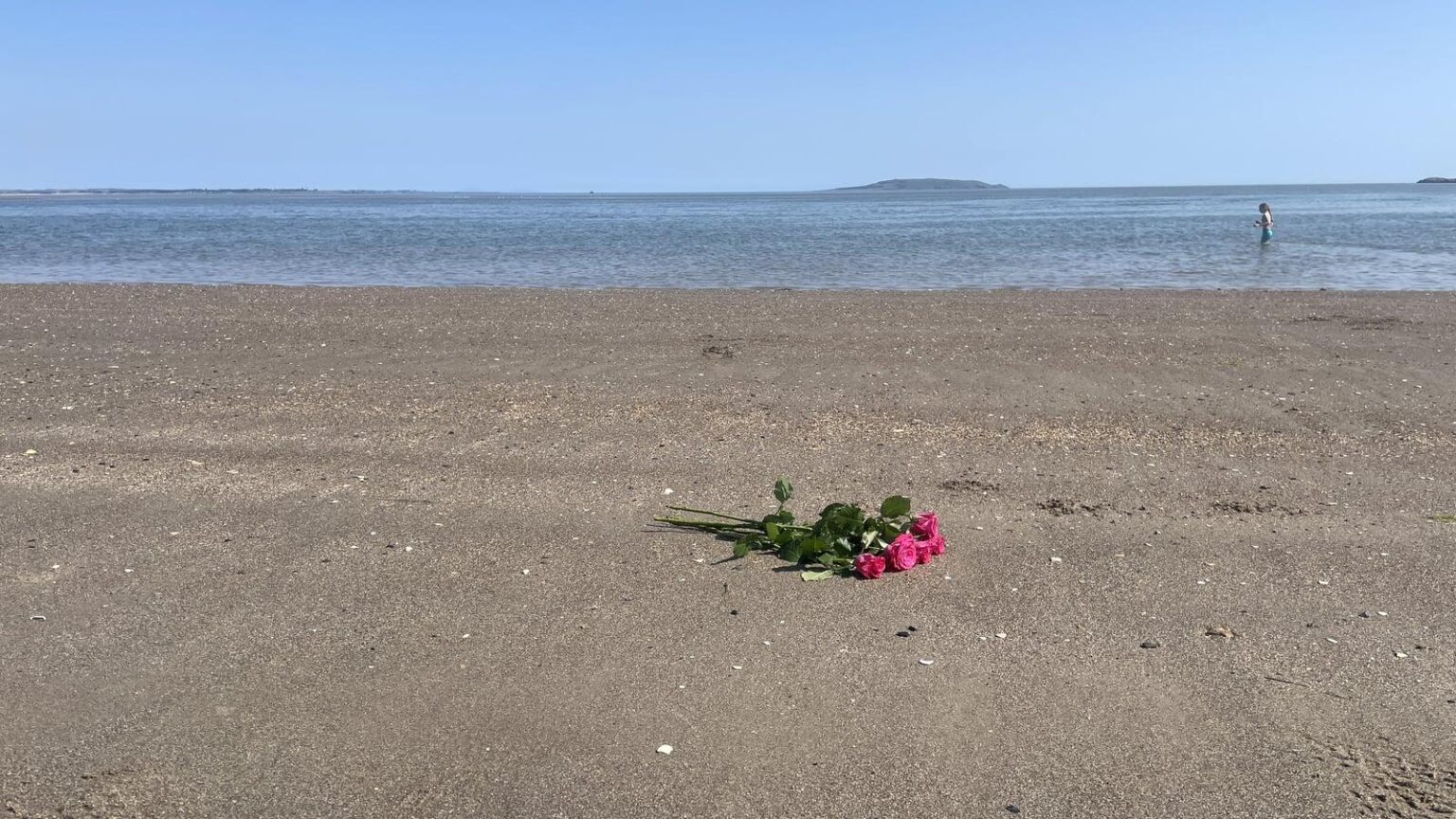 Teenage girl dies off Burrow Beach in Dublin