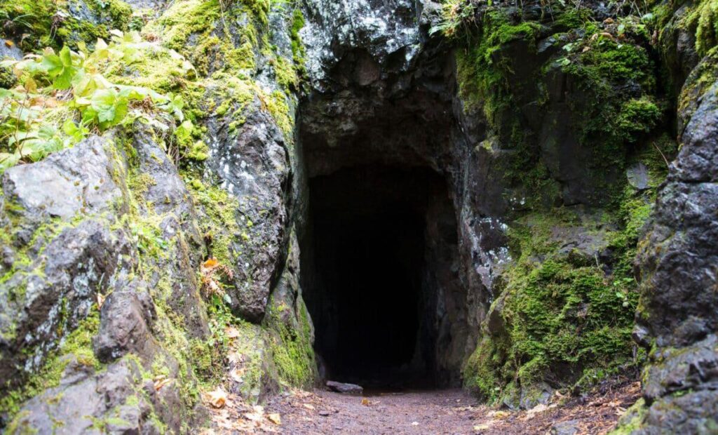Scientists Entered a New Zealand Cave and Uncovered 1 Million-Year-Old Fossils of Mysterious Species