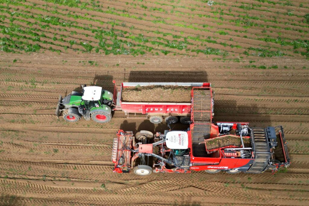 Calantha, the first interfering RNA pesticide authorized in Europe, attacked before the Belgian courts Calantha, the first interfering RNA pesticide authorized in Europe, attacked before the Belgian courts