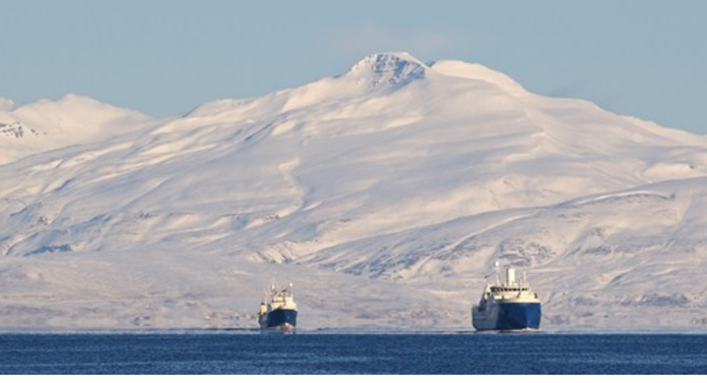 Biggest single week of cod sales since COVID fails to dampen prices on Iceland’s auctions Biggest single week of cod sales since COVID fails to dampen prices on Iceland's auctions