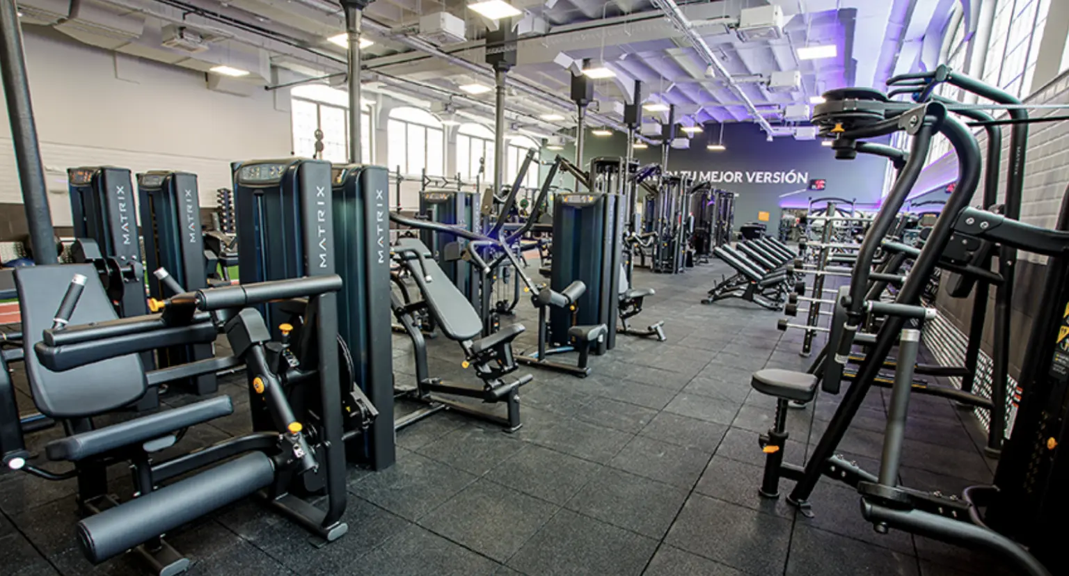 VivaGym Acquires Synergym, Expands to 450+ Gyms Across Spain & Portugal