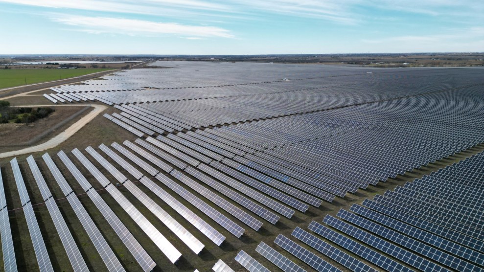Dozens of rows of solar panels on a farm in Texas.