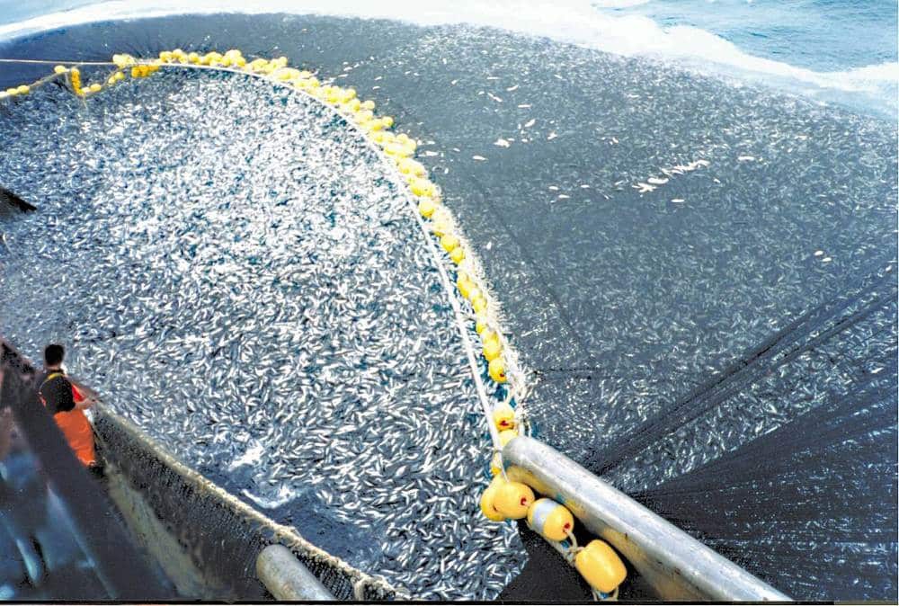 Greece Asks EU to Intervene in Unlawful Fishing Dispute with Turkey Greece Asks EU to Intervene in Unlawful Fishing Dispute with Turkey