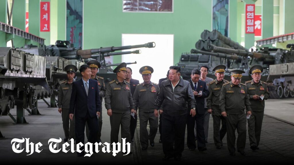 North Korea ‘will fire nuclear weapon’ if Kim is killed