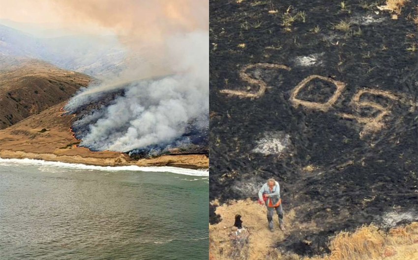 Santa Rosa Island Fire Burns Through Rare Torrey Pine Grove