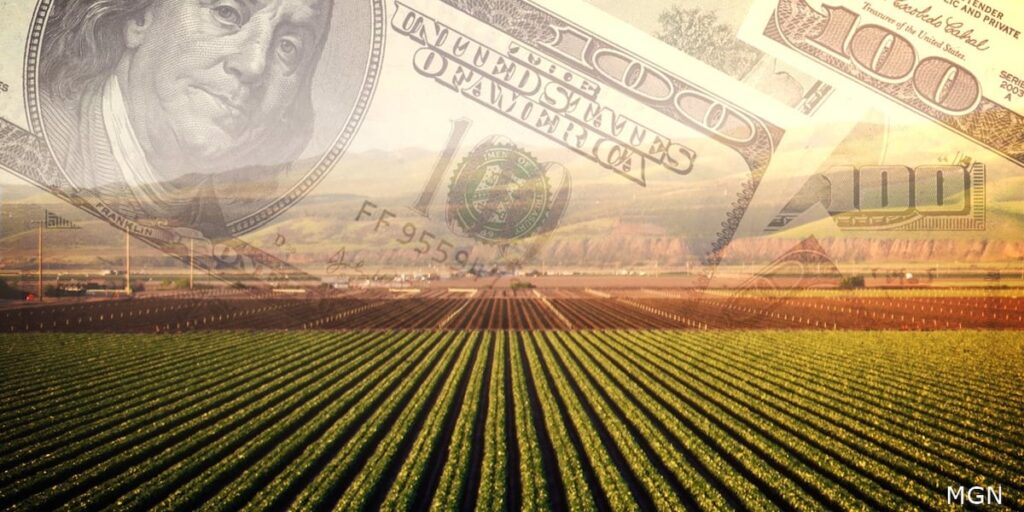 Nebraska farm economy struggles as financial pressures mount Nebraska farm economy struggles as financial pressures mount