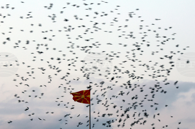 BTA :: Suspicions of Espionage over Alleged Leaks from North Macedonia President’s Office Draw Attention