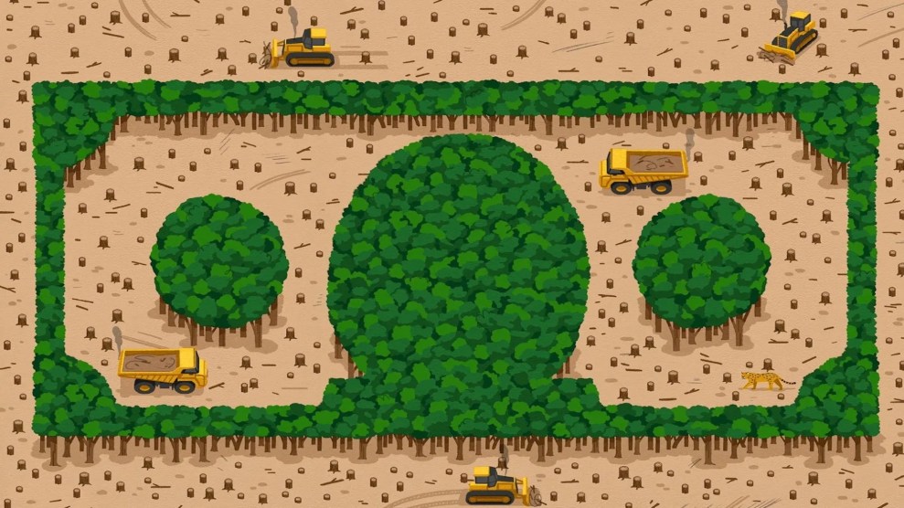 An illustration of trees in the shape of a dollar bill, surrounded by logging trucks.