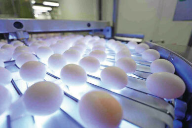 Ukraine is continuing to expand egg exports. Image created with the help of AI (Reve)