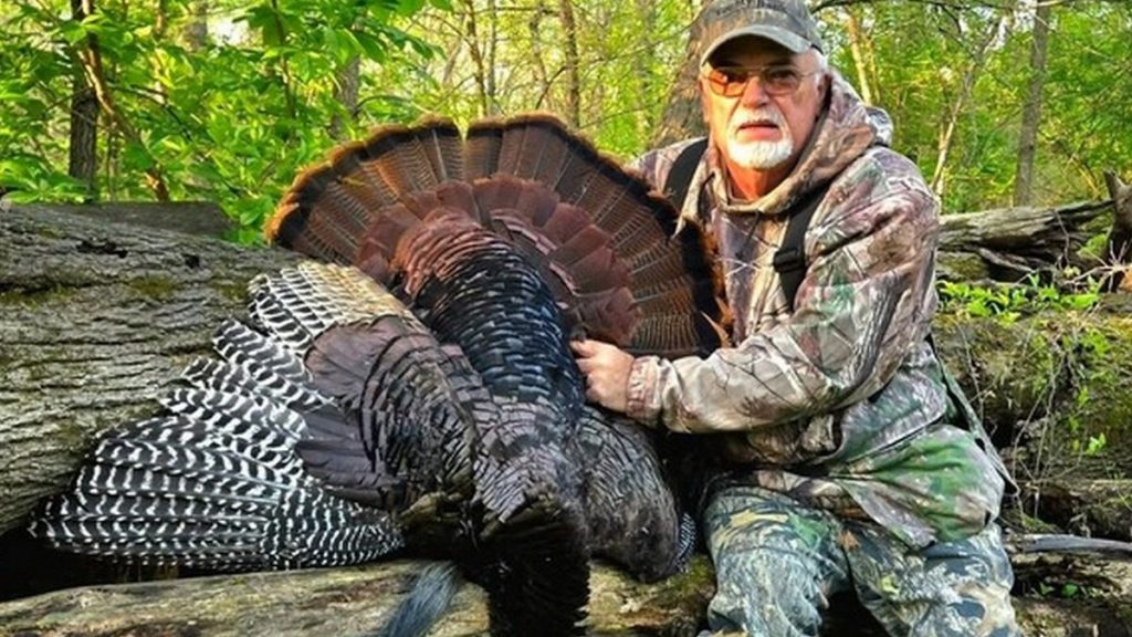 Missouri spring turkey harvest tops 50,000 birds Missouri spring turkey harvest tops 50,000 birds