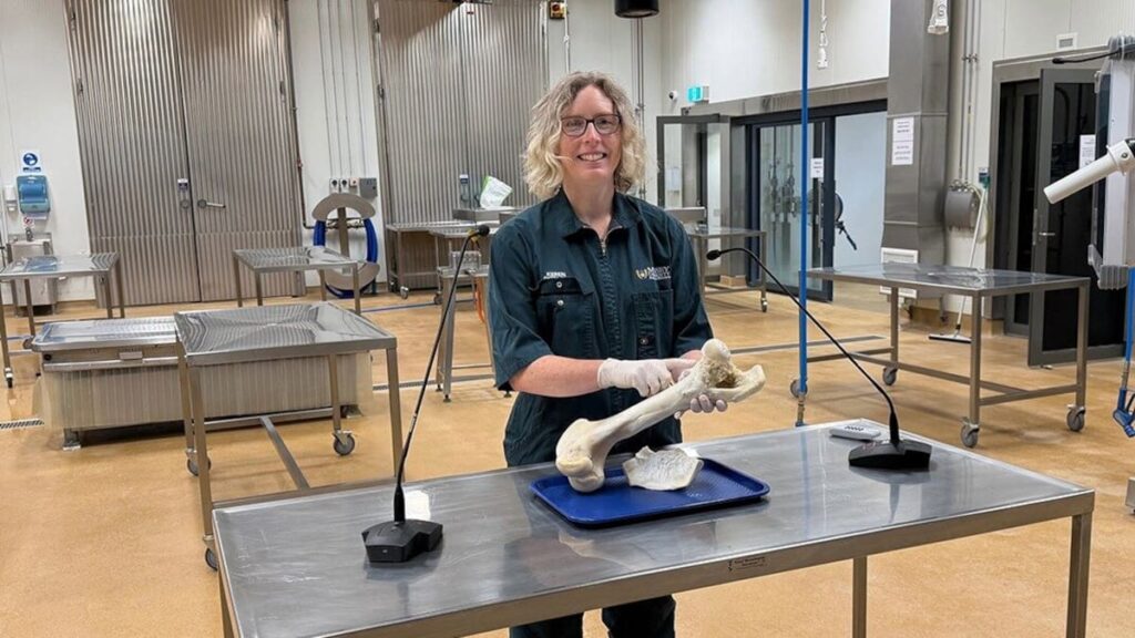 Inside the pathology suite training New Zealand’s next generation of veterinarians Inside the pathology suite training New Zealand’s next generation of veterinarians