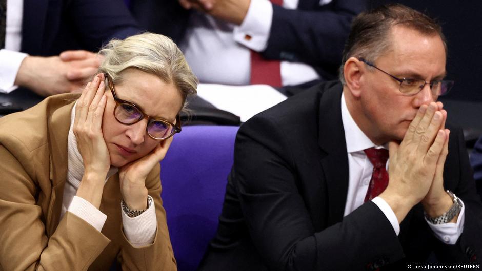 DW: AfD beats out Merz's conservative bloc - INSA survey