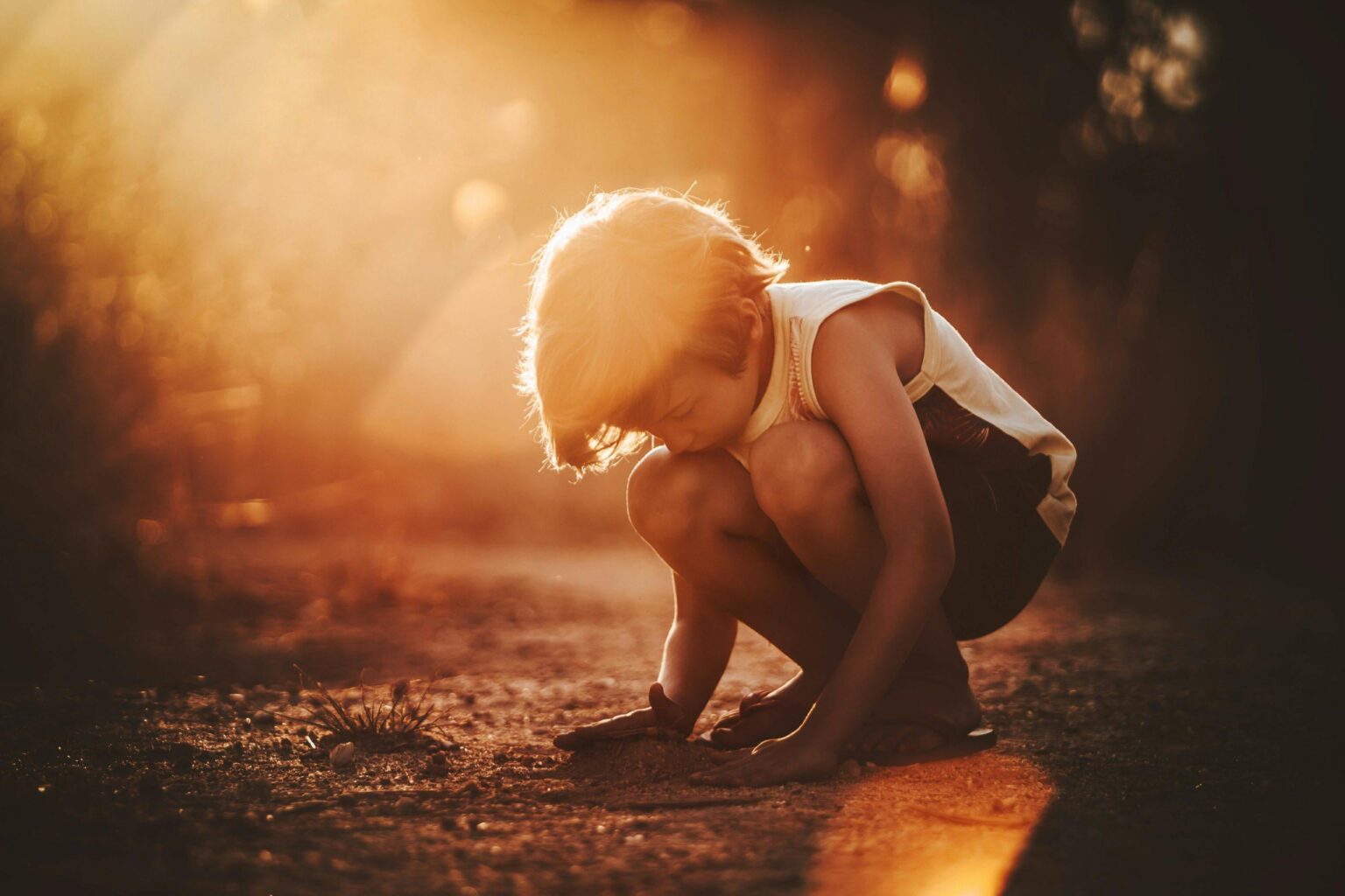 Heat in schools: an urgent project, solutions to be built