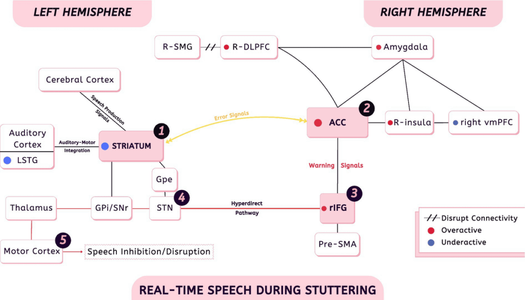 2026: Unraveling the mystery of stuttering: clinical and physiological insights into its manifestation
