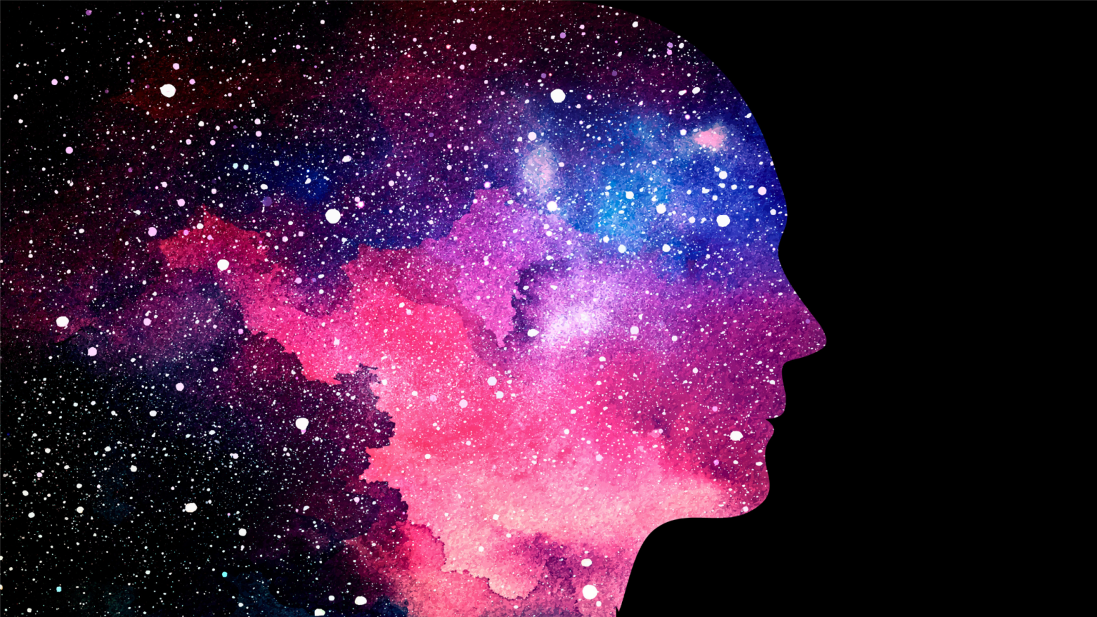 Are Humans Really Born With Empty Brains? Science Has an Answer.