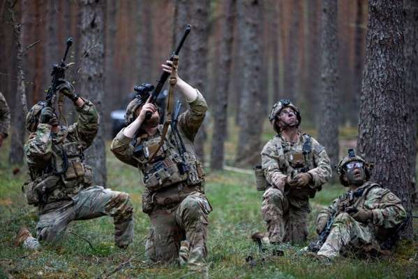 U.S. military personnel, within the framework of project Flytrap 5.0, at the Pabrad? training area, Lithuania. - U.S. Army.