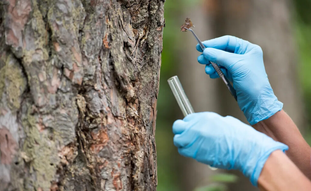 Which California species survive climate change may already be written in their DNA Which California species survive climate change may already be written in their DNA